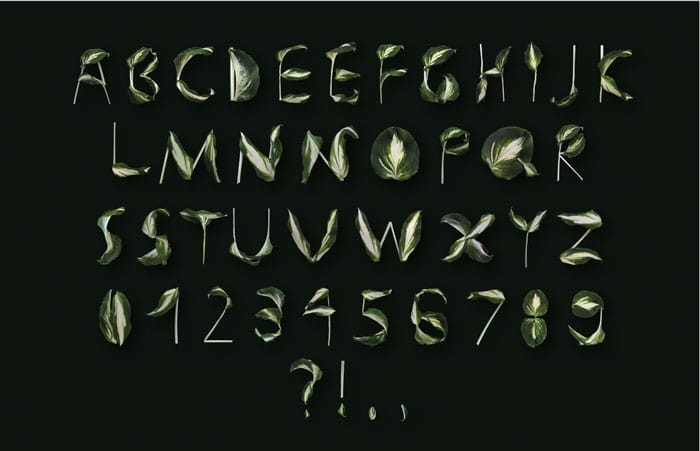 Typeface Design – Create your own font